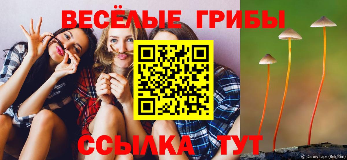 Заинск  Псилоцибиновые грибы мицелий  Галлюциногенные грибы прущие грибы  Вход с VPN 